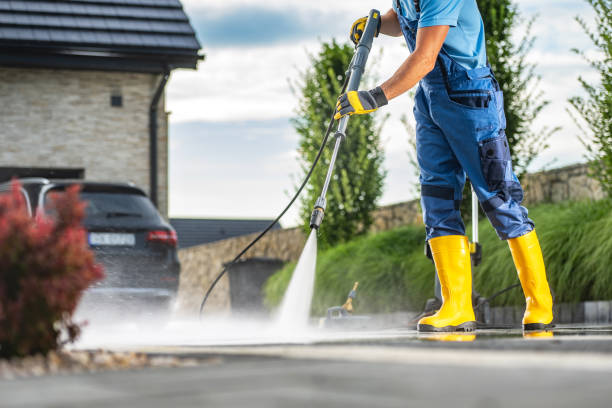 Best Soft Washing  in Kewaskum, WI